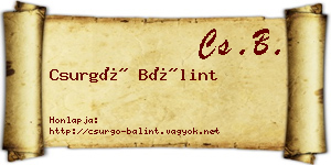 Csurgó Bálint névjegykártya