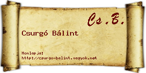 Csurgó Bálint névjegykártya