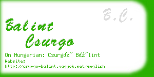 balint csurgo business card